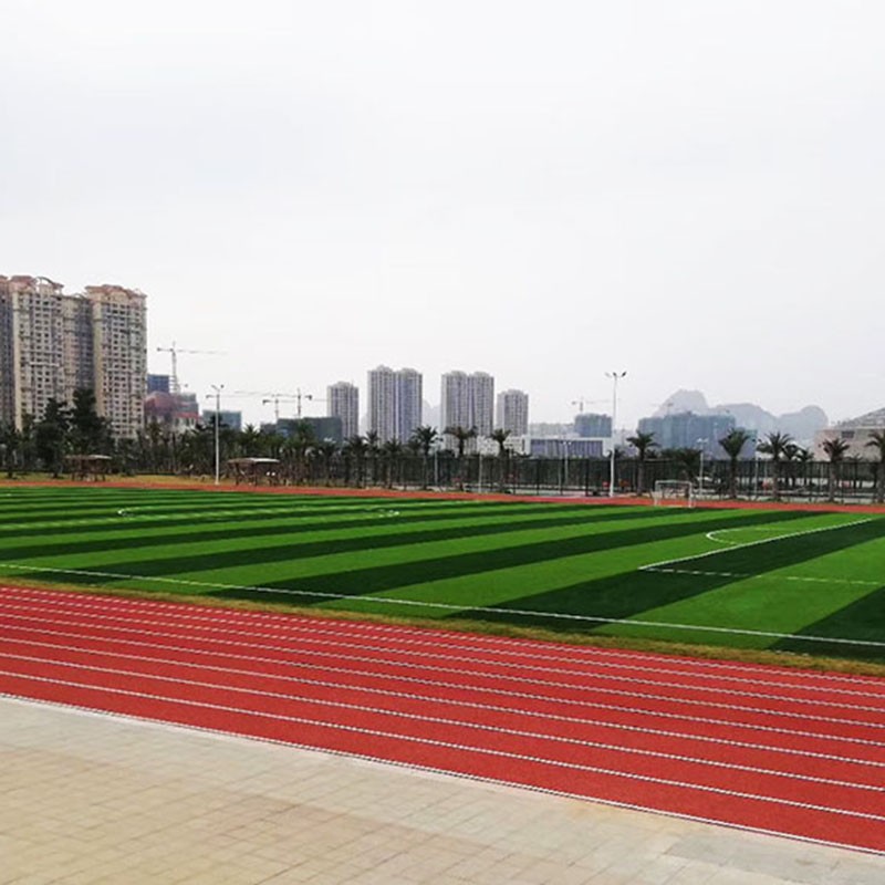 自己建足球场 足球场 造价