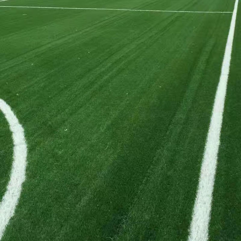 偃师哪里建足球场 天然草皮足球场 造价