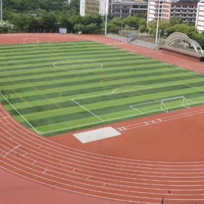 到哪里可以建足球场 标准足球场造价多少钱