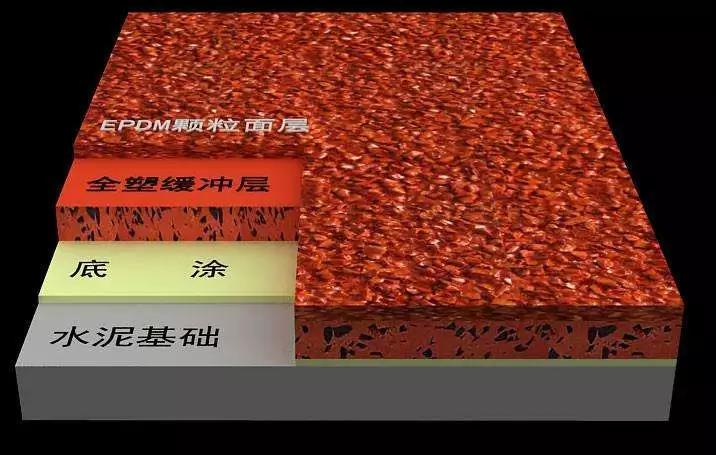 79.jpg