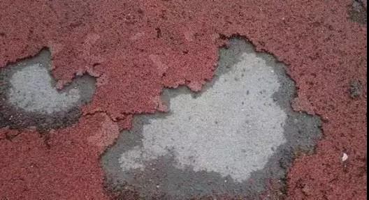 82.jpg